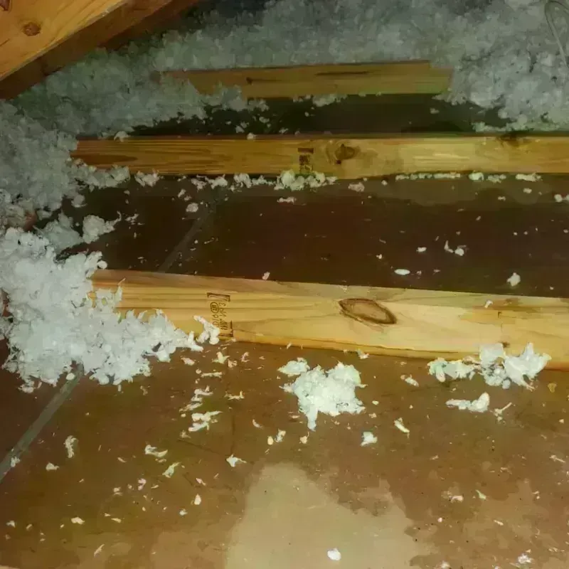 Attic Water Damage in Snohomish, WA